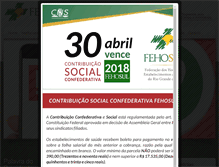Tablet Screenshot of fehosul.org.br